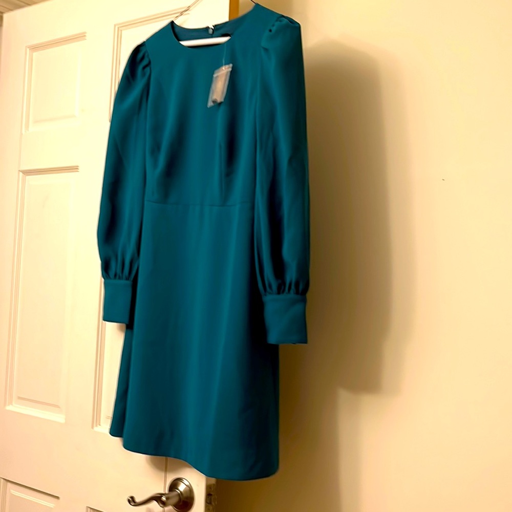 JCrew Dress